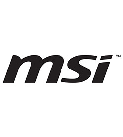 MSI