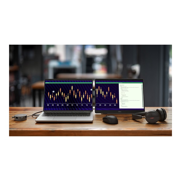 DELL Pro 14 Plus Hordozható Monitor P1425 14" WUXGA 1920x1200, 60Hz, IPS, 16:10, 1500:1, 400cd, 7ms GTG, DP, USB-C (210-BQTB)