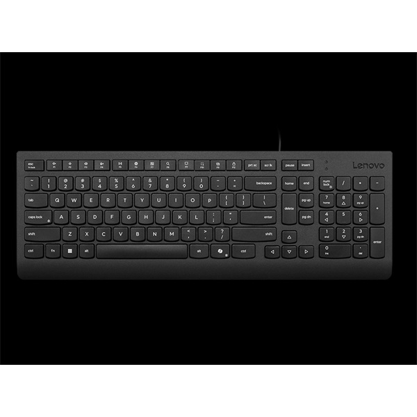 LENOVO Vezetékes Billentyűzet - Essential Wired - Magyar (4Y41R64651)
