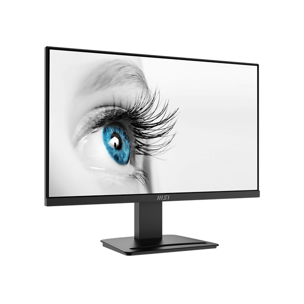 MSI Monitor Business PRO MP2412 23,8" FHD, 1920x1080, IPS, 100Hz, 4000:1 CR, 300cd/m2, 1ms, HDMI,  DP, Black (9S6-3BA9CH-059)