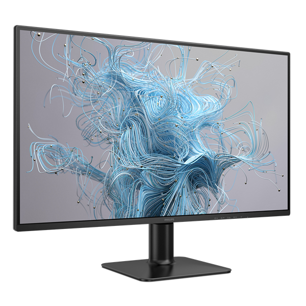 Philips IPS monitor 27" 27E2N2500, 2560x1440, 16:9, 300cd/m2, 4ms, VGA/DisplayPort/HDMI, 120 Hz (27E2N2500/00)