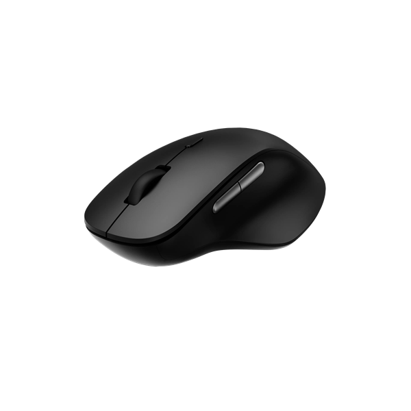 RAPOO 00220693, "M50 Plus" Wireless Silent Optical Mouse, black (00220693)