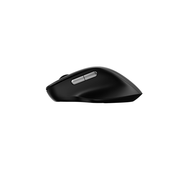 RAPOO 00220693, "M50 Plus" Wireless Silent Optical Mouse, black (00220693)