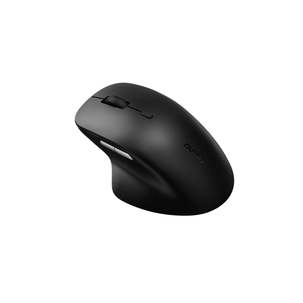 RAPOO 00220693, "M50 Plus" Wireless Silent Optical Mouse, black (00220693)