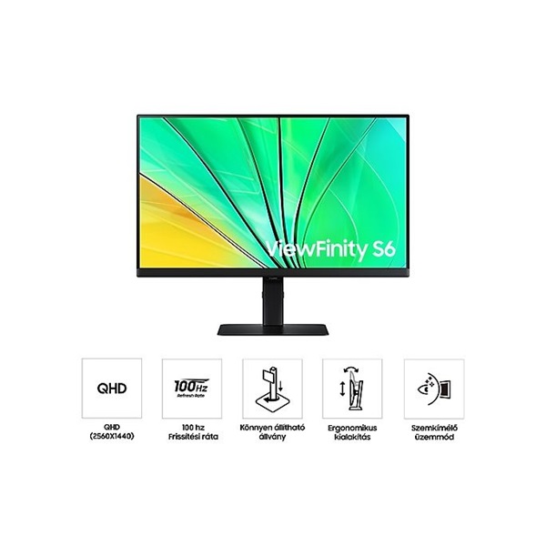 SAMSUNG IPS 100Hz monitor B2B 27" S60D, 2560x1440, 16:9, 350cd/m2, 5ms, HDMI/DisplayPort/3xUSB, Pivot (LS27D600EAUXEN)