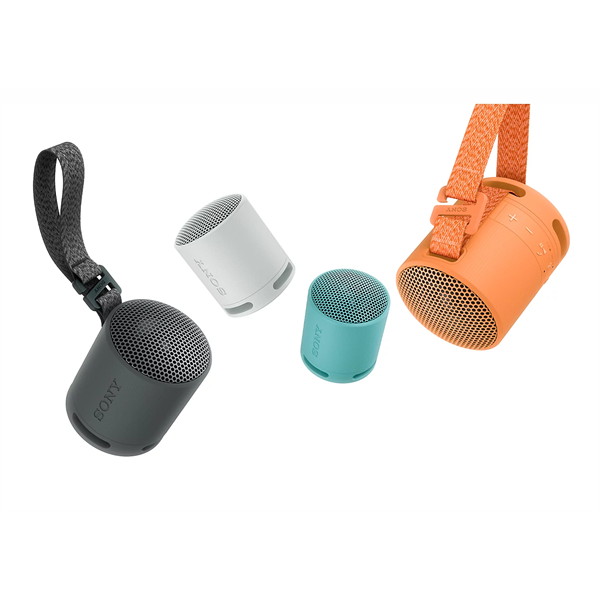 SONY SRSXB100H.CE7 Hordozható Vezeték nélküli Hangszóró, Szürke (SRSXB100H.CE7)
